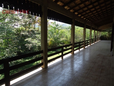 Chácara, 4 quartos, 8 hectares - Foto 19