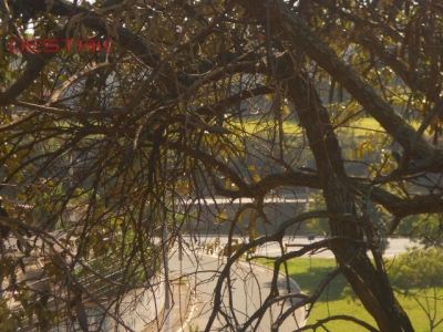 Terreno, 3565 m² - Foto 6