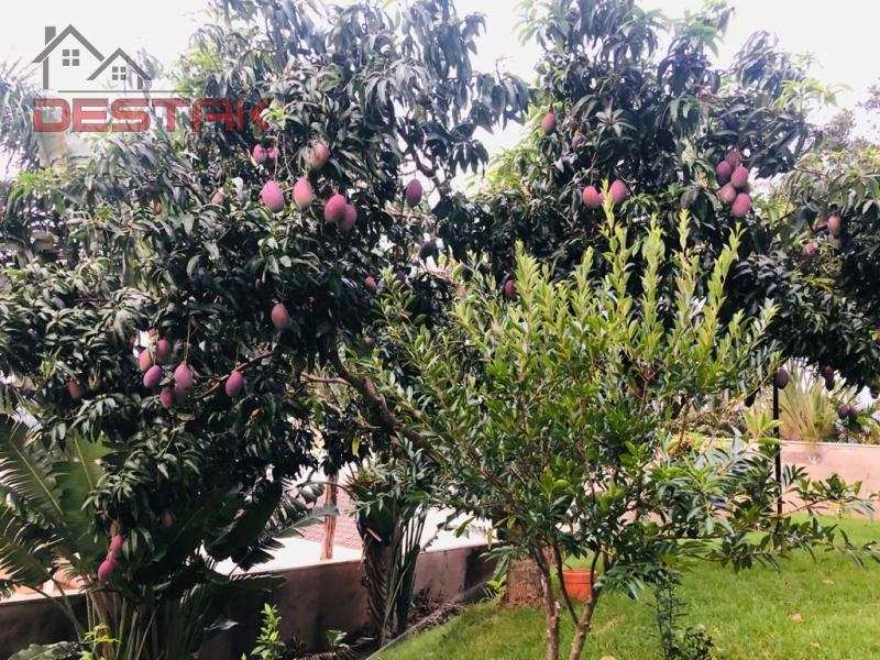 Terreno, 800 m² - Foto 12