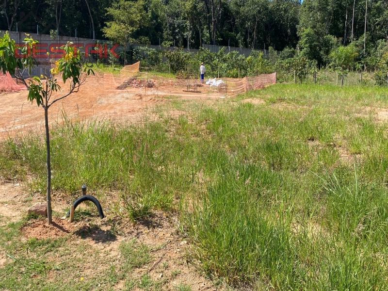 Terreno, 556 m² - Foto 3