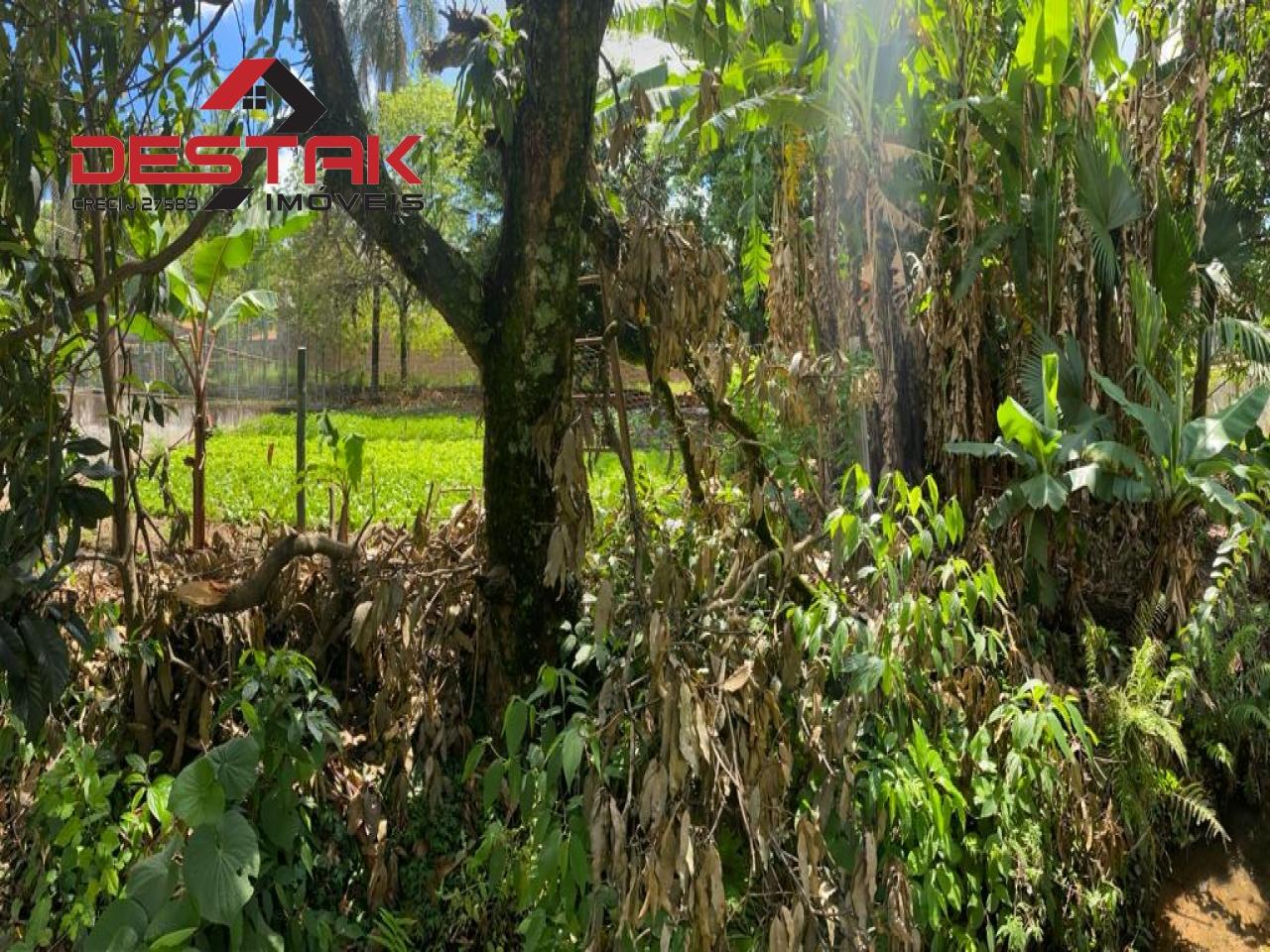 Terreno, 1 hectares - Foto 9