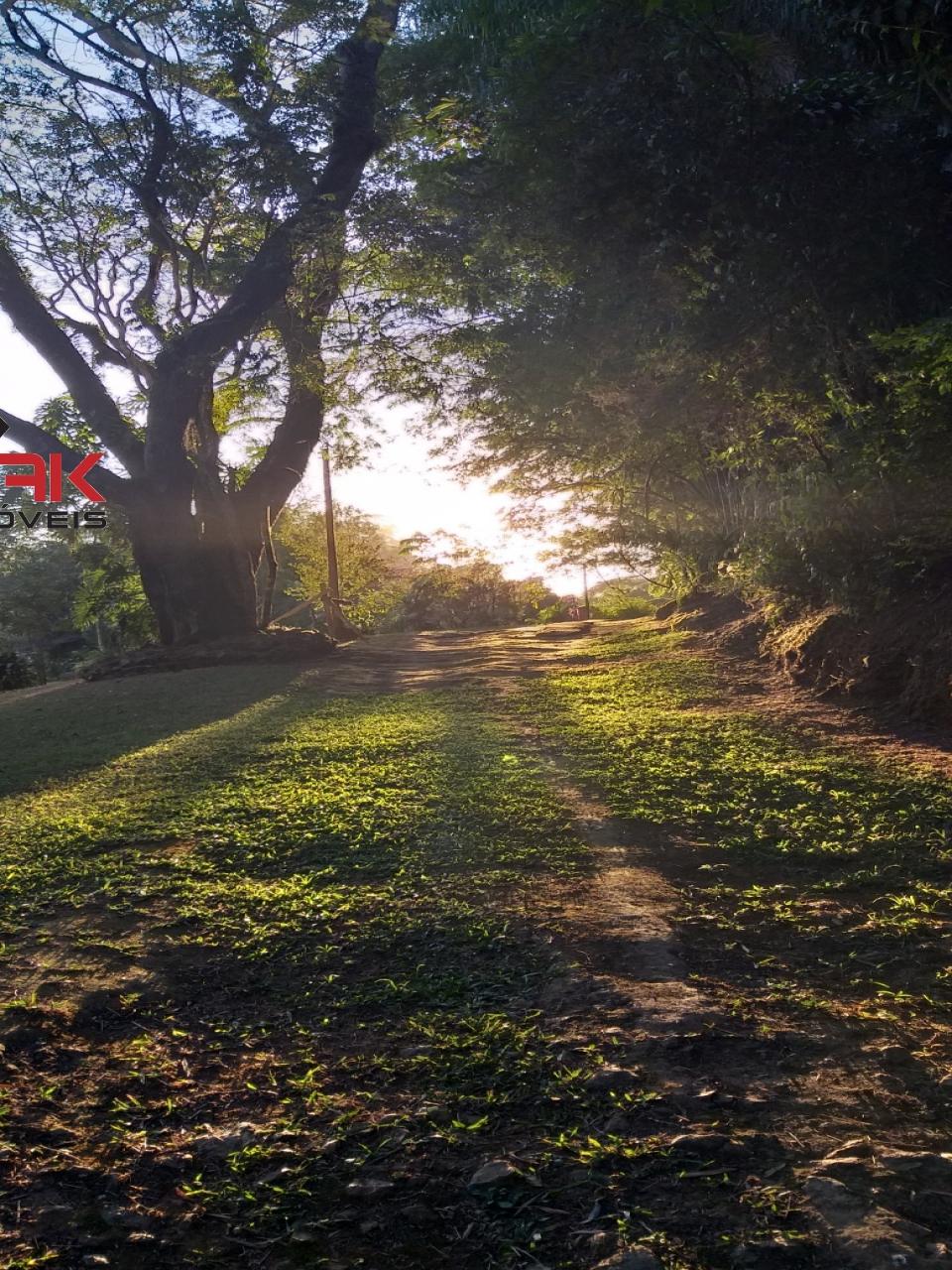 Sítio, 5 quartos, 2 hectares - Foto 25