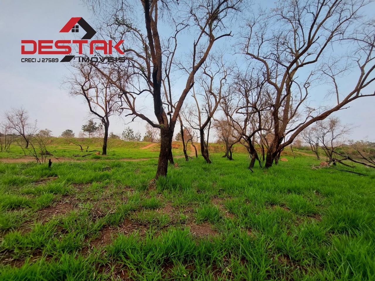 Terreno, 3 hectares - Foto 3