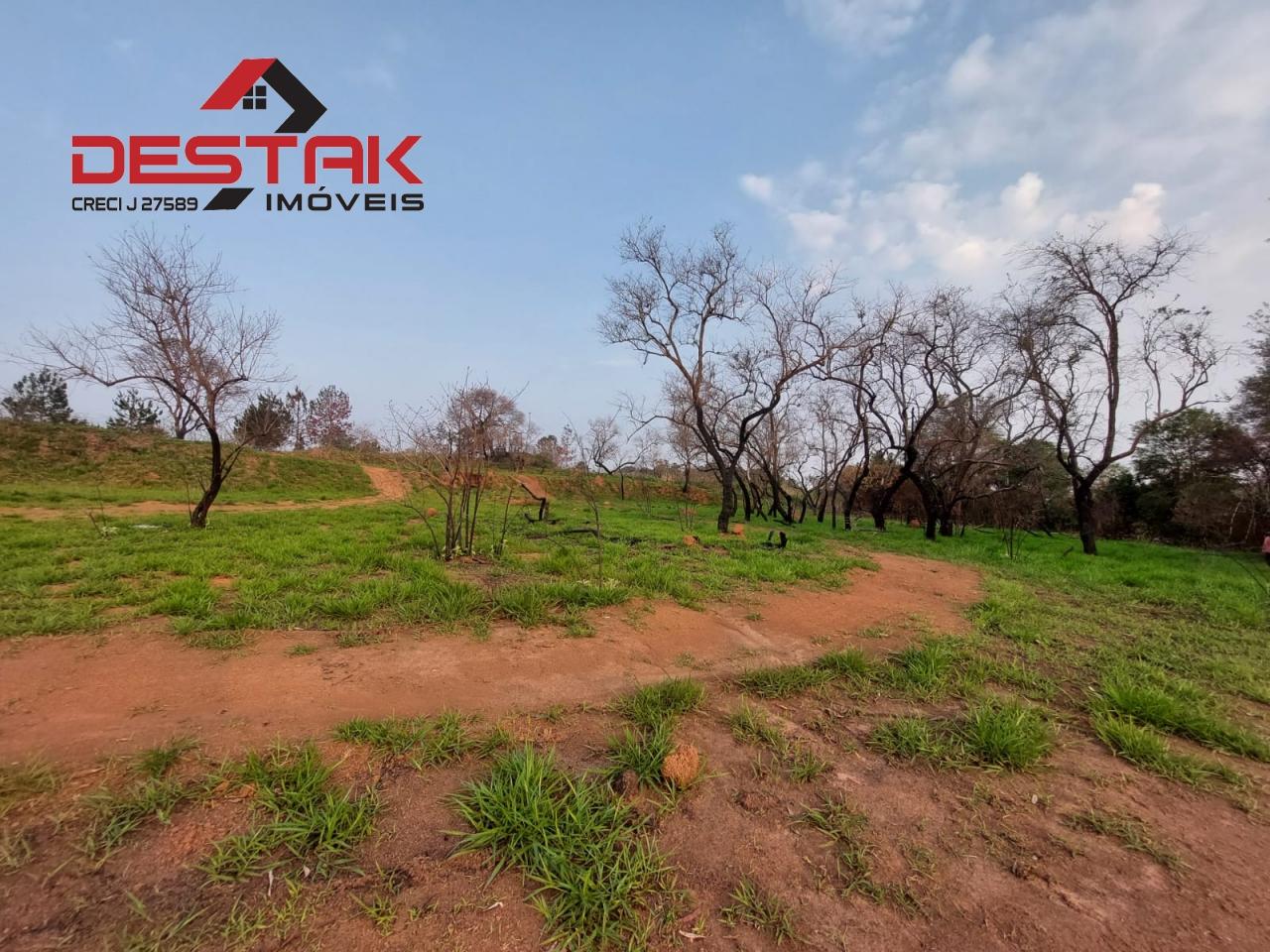 Terreno, 3 hectares - Foto 6