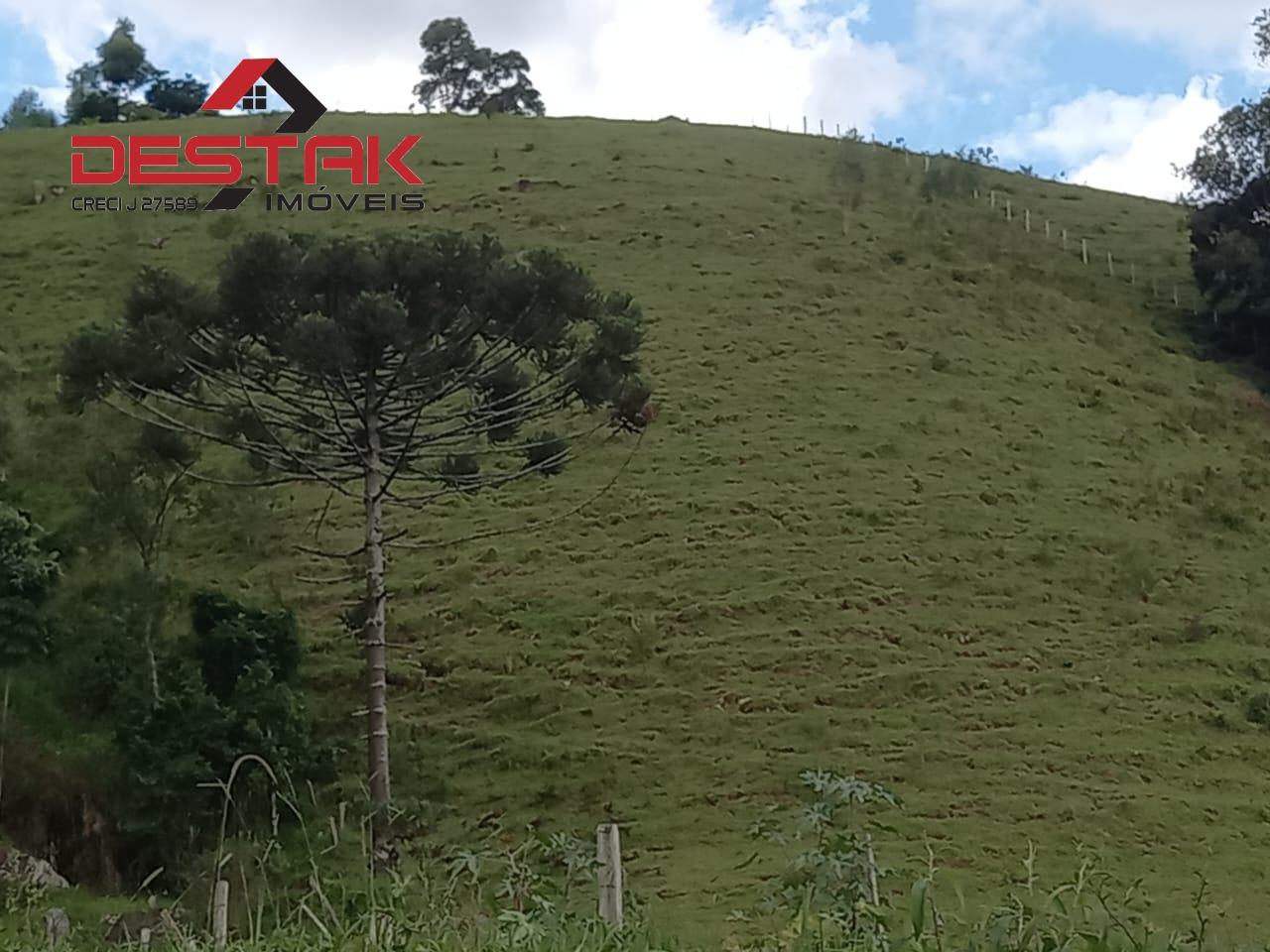 Sítio, 3 quartos, 4 hectares - Foto 9