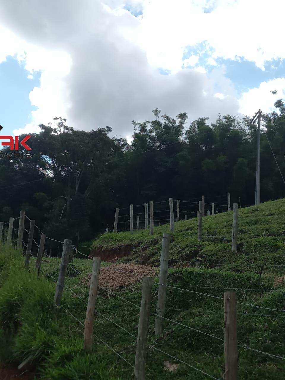 Sítio, 3 quartos, 4 hectares - Foto 10