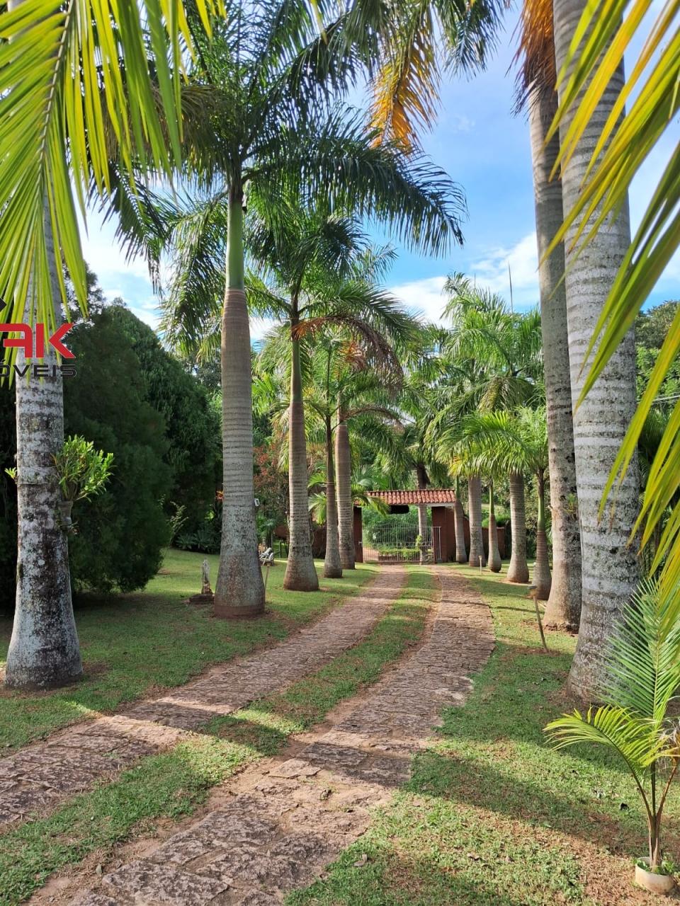 Chácara, 3 quartos, 8000 m² - Foto 25