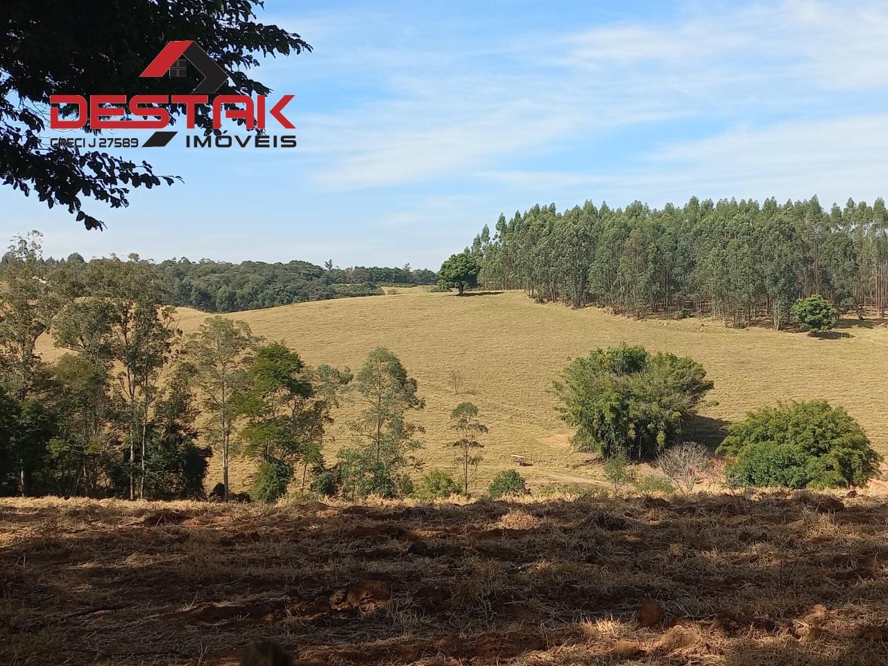 Sítio, 2 quartos, 11 hectares - Foto 4