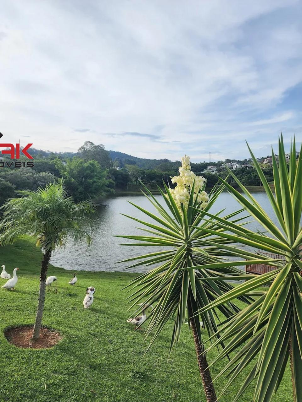 Terreno, 877 m² - Foto 18