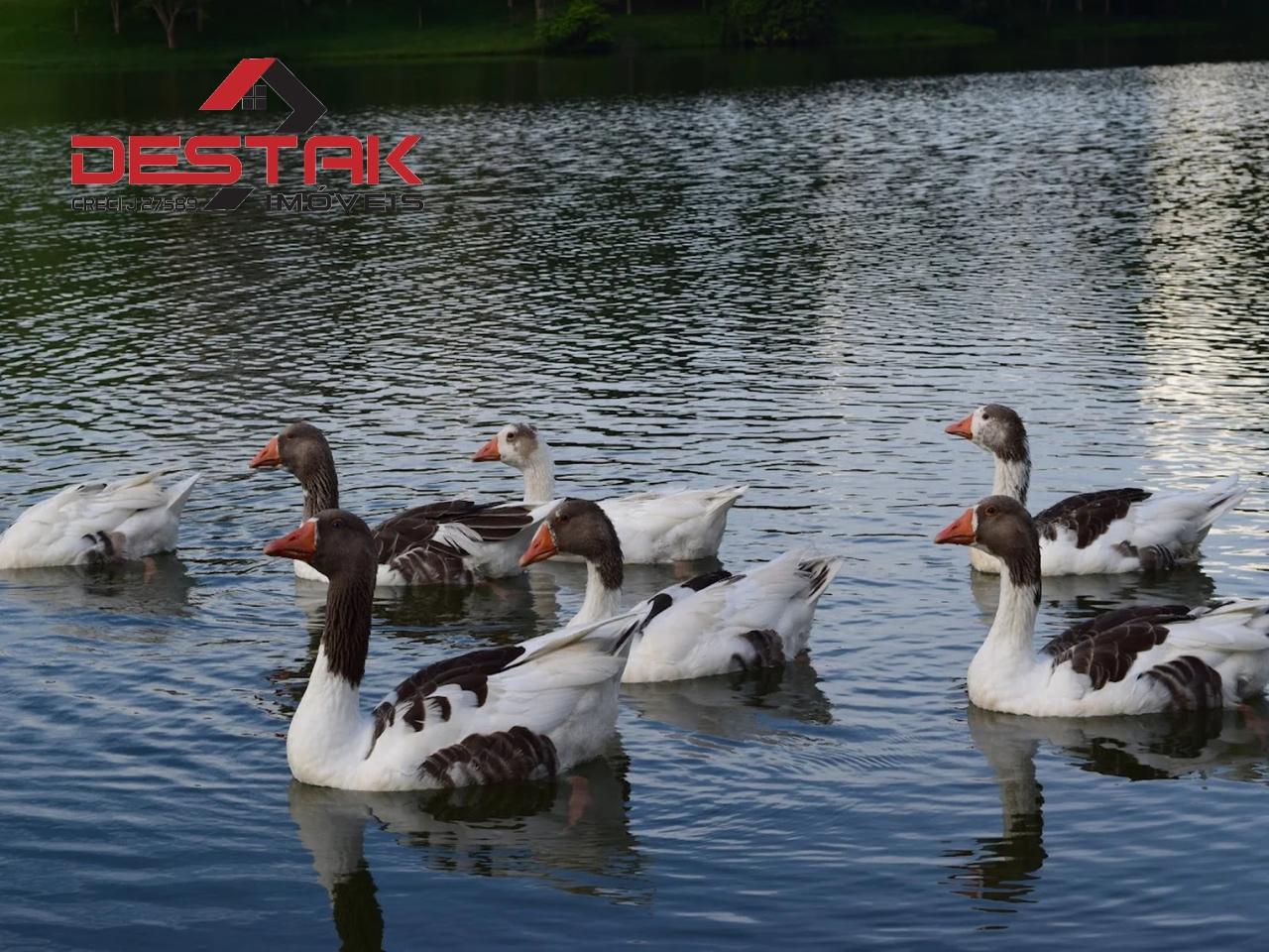 Terreno, 877 m² - Foto 20