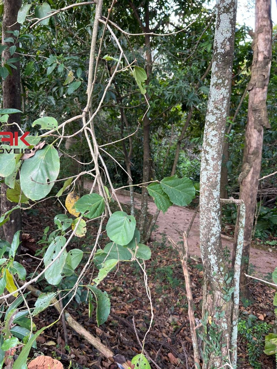 Apartamento, 2 quartos, 49 m² - Foto 20