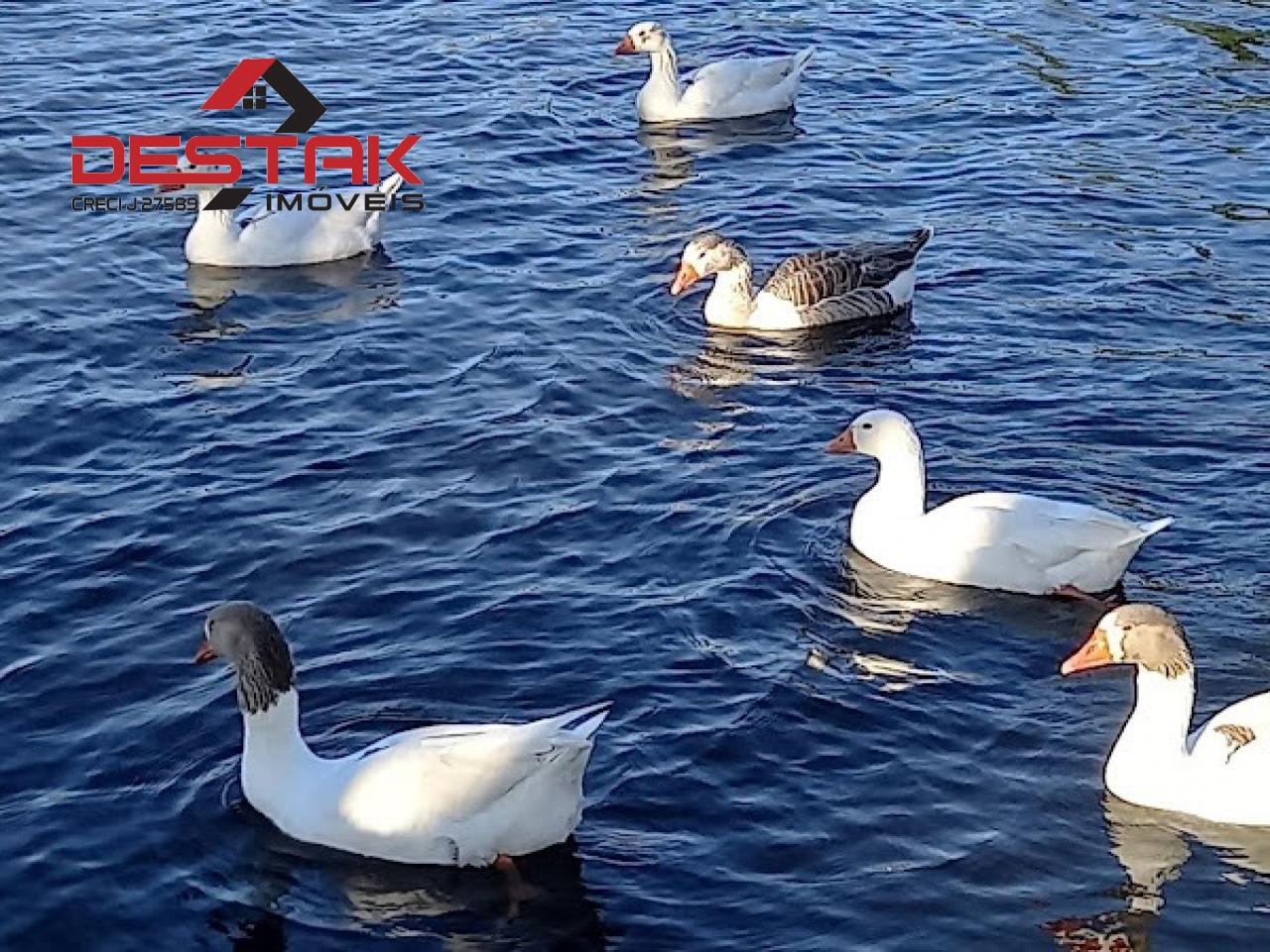 Terreno, 1000 m² - Foto 10