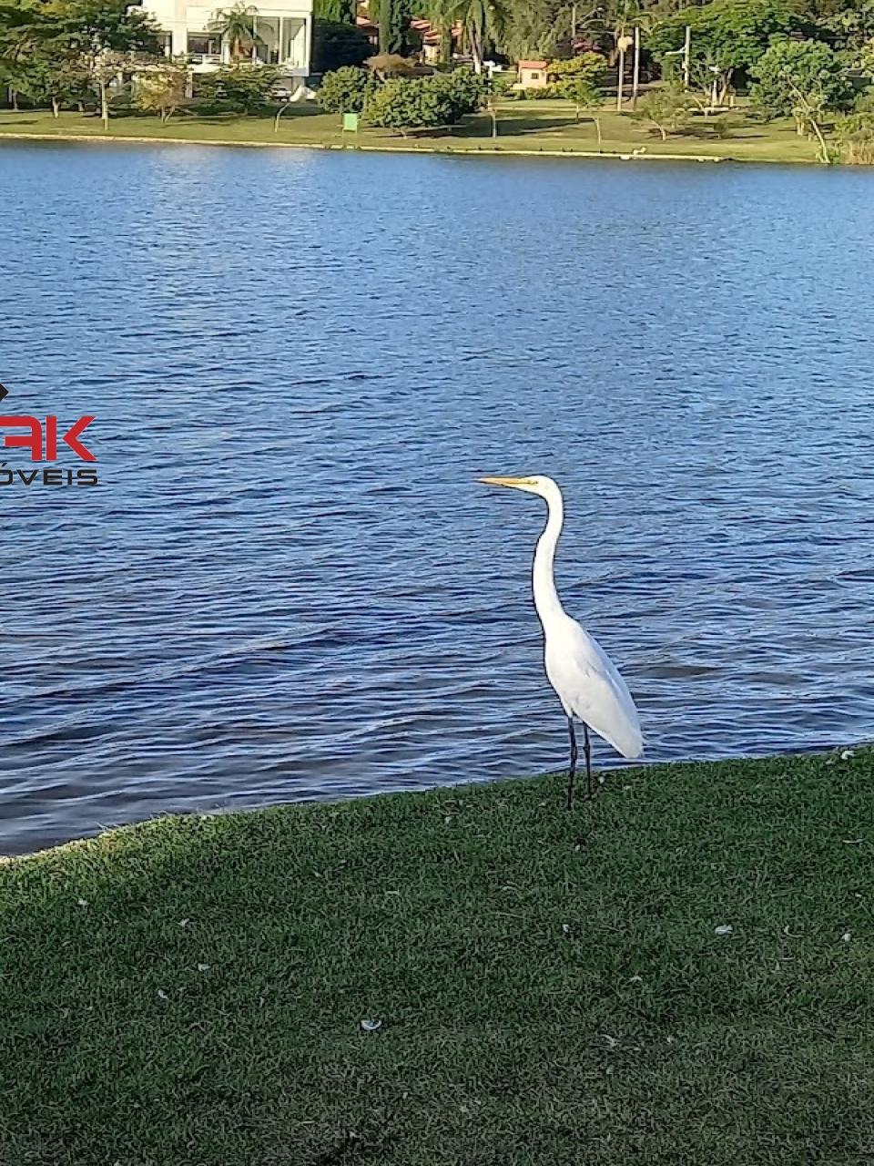 Terreno, 1000 m² - Foto 11