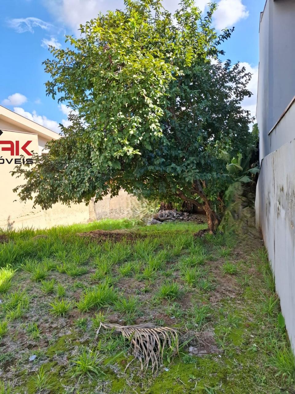 Terreno, 260 m² - Foto 6