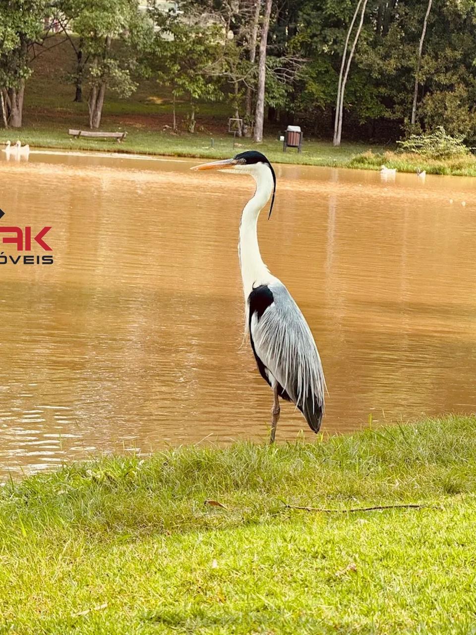 Casa de Condomínio, 3 quartos - Foto 23