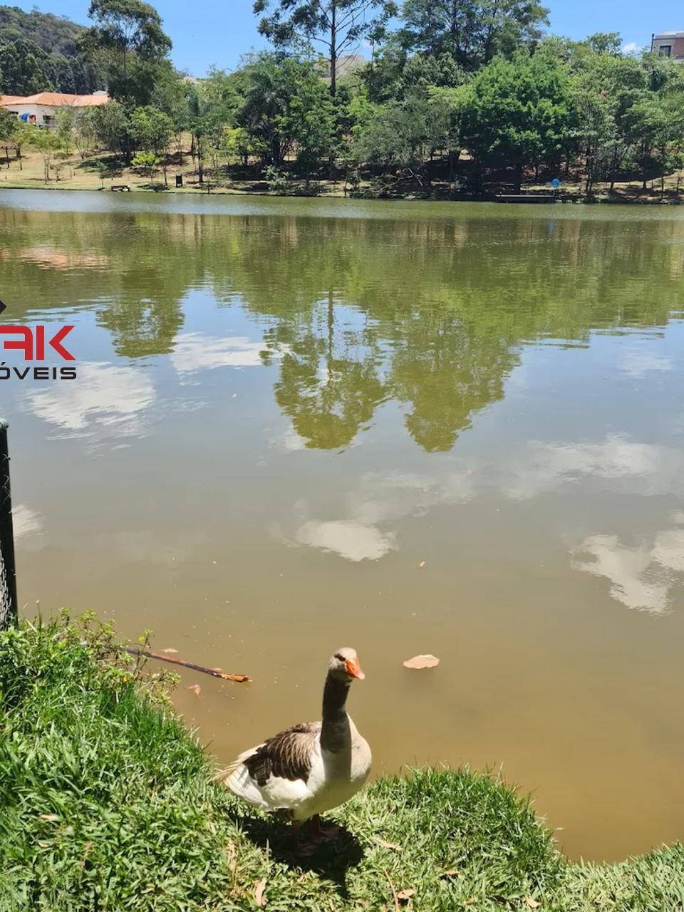 Casa de Condomínio, 3 quartos - Foto 24