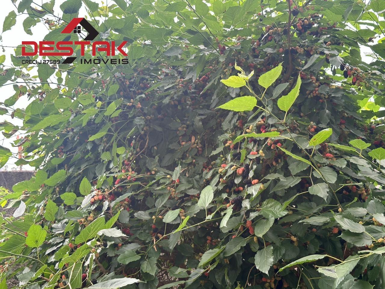 Chácara, 1 quarto, 1083 m² - Foto 19