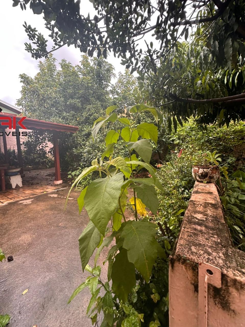 Terreno, 260 m² - Foto 6