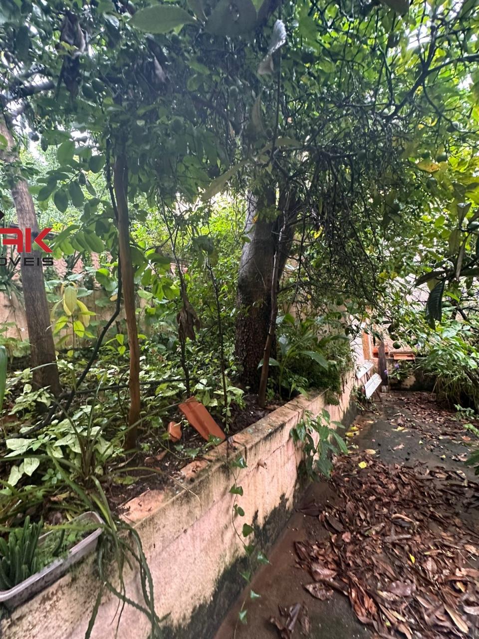 Terreno, 260 m² - Foto 12