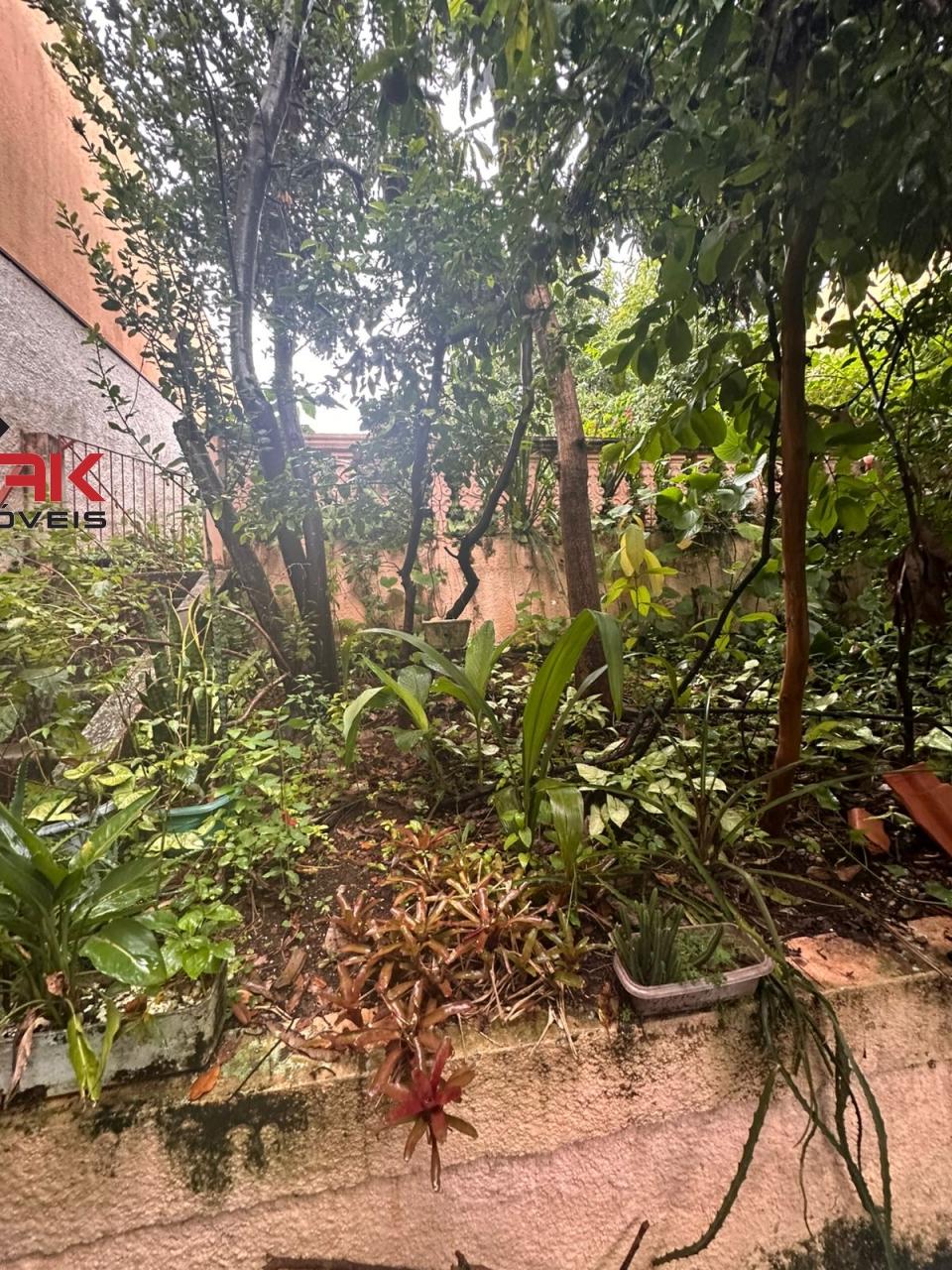Casa, 3 quartos, 520 m² - Foto 25