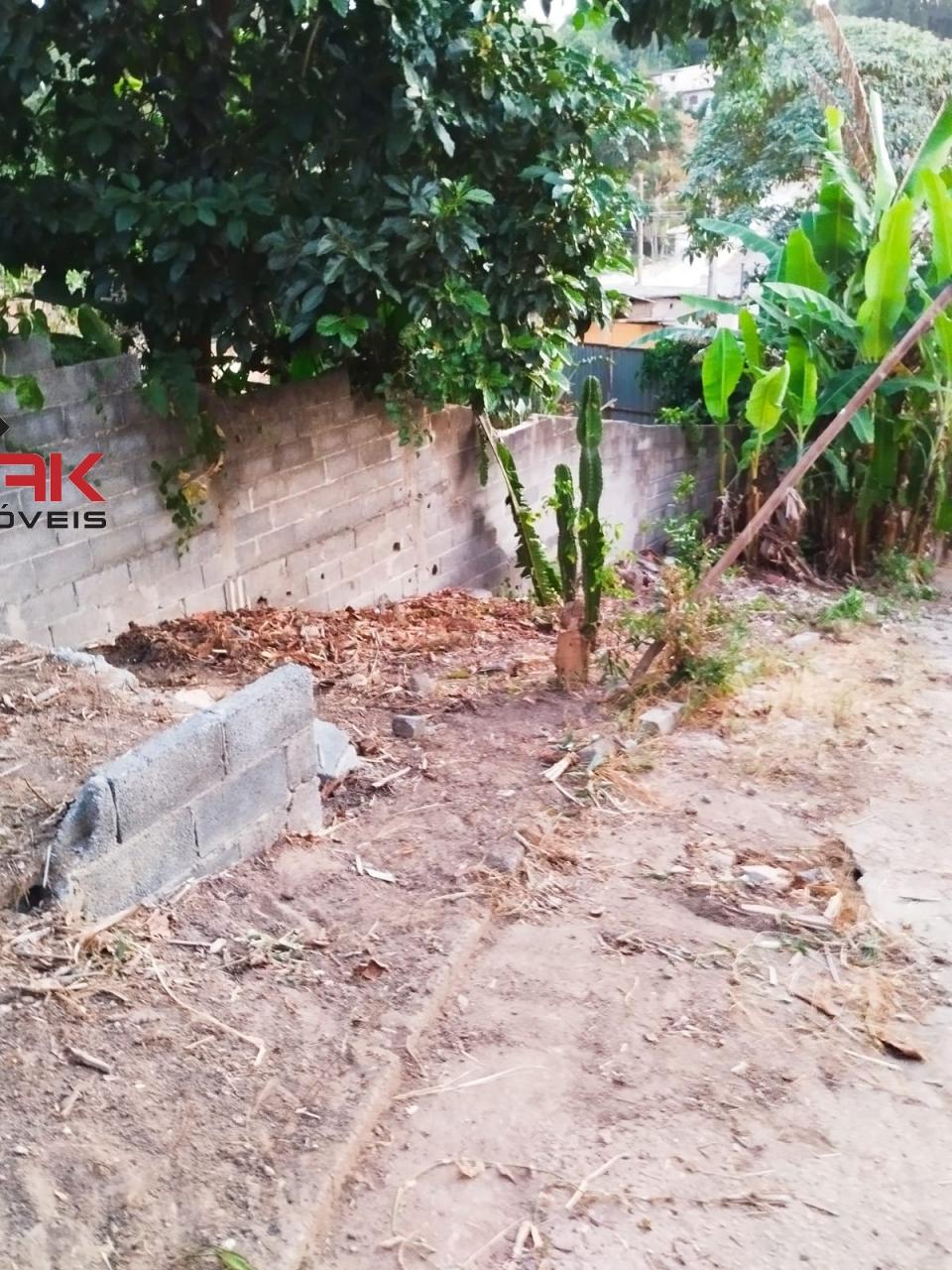 Sítio, 2 quartos, 474 m² - Foto 15